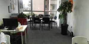 上海櫻本投資咨詢 專業(yè)服務(wù)，賦能企業(yè)戰(zhàn)略與資本決策